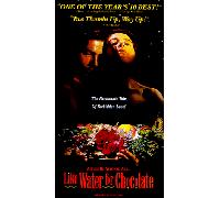 Like Water for Chocolate [USA] [VHS]