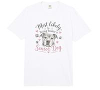 Likely To Bring Home A Senior Dog Cute Rescue Dog Comfort Colors Adult Heavyweight T-Shirt