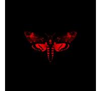 Lil Wayne - I Am Not a Human Being II
