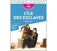 Lîle Des Esclaves - Bac Techno 2023 (ebook)