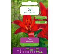 Lilia Happy Love roja, 1 unidad.