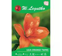 Lilia Orange twins naranja 1 unidad.