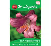 Lilia Pink Perfection rosa 1 unidad.