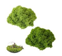 LILIKAI Musgo artificial para manualidades, decoración artificial, verde, plantas falsas en miniatura, musgo para decoración de pared/pared, pesebre, acuario, modelismo (verde oscuro 50 g + verde