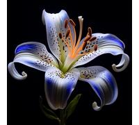 Lilium - Raíces - Emite una delicada fragancia a violetas - Una lilium poco común - De fácil cuidado - Un acento ideal para el jardín - (No es un producto artificial)-6 Raíce-C