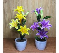 Lilium - Raíces - Emite una delicada fragancia a violetas - Una lilium poco común - De fácil cuidado - Un acento ideal para el jardín - (No es un producto artificial)-4 Raíce-J