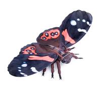 Lilizzhoumax Animal de Peluche de Almirante rojo Juguete Realista Animal Encantador Regalos Lindos y Suaves de Felpa para niños y niñas Juguetes 11”