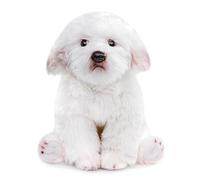 lilizzhoumax maltés Perro Peluche 38cm/15”, maltés Perro Lindas muñecas de Relleno de roedores, Lindo maltés Perro Peluche Suave Relleno Juguetes De Animales Salvajes, Regalo para Amigos Y Niños