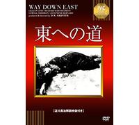 Lillian Gish - Way Down East [Edizione: Giappone] [Italia] [DVD]