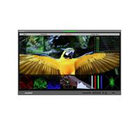 Lilliput Q31 31.5" 12G-SDI/HDMI Broadcast Studio Monitor