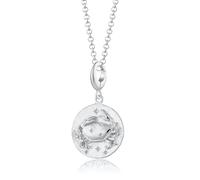Lily Charmed - Collar con colgante de plata de ley 925 con signo del zodiaco con cadena de 45,7 cm o collar de horóscopo chapado en oro de 18 quilates, Metal