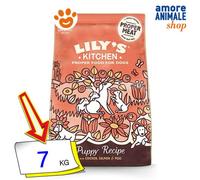 Lily's Kitchen Puppy Recipe con pollo y salmón - Alimento seco completo para perros sin cereales (7 kg)