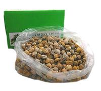 Limas secas de España - Calidad Premium - 100% natural - secado al sol - seleccionadas a mano - Superfood - sin gluten y Vegano - Caja de 5 kg