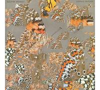 Liminal Garden [Vinilo]