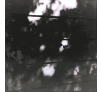 Limits of Painting and Poetry by The Pilot Ships (2000-11-14)