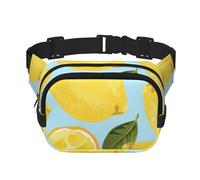 Limón Amarillo Las Artes,Riñonera Cuadrada de Doble Capa, Bolso de Viaje, Bolso Informal para el Pecho.