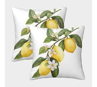 Limón Fundas Cojines Antialérgicas 2 Piezas Funda De Almohada Diseño 3D para Exterior Sofá Cama Coche Hogar 40x40cm