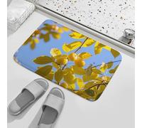 Limonero Alfombra Exterior Resistente Alfombra Entrada Absorbentes Tapete De Entrada para Hogar Dormitorio Oficina 60X40Cm