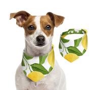 Limones de Acuarela de Color Amarillo Brillante,Pañuelos de algodón para Perros, Bufandas Ajustables para Mascotas,S