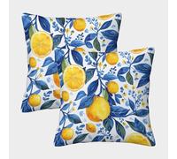 Limones y Naranjas Fundas Cojines Antialérgicas 2 Piezas Arte Anime Funda De Almohada Diseño 3D para Exterior Sofá Cama Coche Hogar 50x50cm