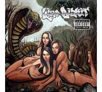 Limp Bizkit - Gold Cobra
