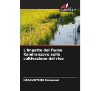 L'impatto del fiume Kamiranzovu sulla coltivazione del riso