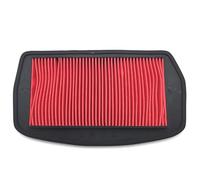 Limpiador de filtro de admisión de aire para motor de motocicleta, compatible con Yamaha FZ6, Fazer, FZ6-N, FZ6-NA, FZ6-NAHG, FZ6-NHG, FZ6-NS.
