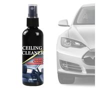 Limpiador de Interiores de Coche - Espuma en Spray de 100 ml para Tratamiento de Cielo - Spray para Limpieza de Manchas y tapicerías - para SUV, Furgoneta, Sedan, alfombras y revestimientos