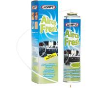 Limpiador del sistema de aire acondicionado 30202 Wynn's