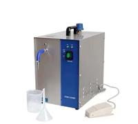 Limpiadora De Joyas A Vapor De 2L/3L, Fabricada En Acero Inoxidable 304. Vaporizador De Alta Presión Para Joyerías Y Estudios. Temperatura De Salida: 135°C. Para Anillos, Pendientes(2L standard)