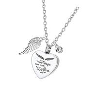 Limtula Colgante de corazón de Amor, Collar conmemorativo para Mascotas, Cenizas, Pieles, portacontenedores, medallones de Acero Inoxidable, joyería de urna para pérdida de Mascotas, Collar de urna