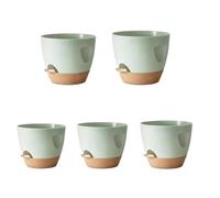 Limtula Juego De 5 Cuencos para Macetas De Riego De Identidad Moderna Poliestireno Inmune Calor Permanente En Interior del Hogar Jardín Cubierta Cuencos para Plantas Medicinales Suculentas En