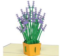 Lin 17218 Pop Up Tarjetas de agradecimiento - Get Well tarjetas de felicitación - día de la madre, lavanda morado