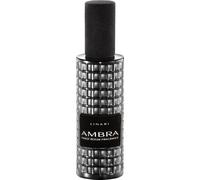 LINARI - Spray para habitaciones Ambergris Ambientadores 100 ml unisex