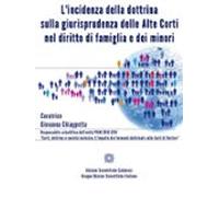 Lincidenza Della Dottrina Sulla Giurisprudenza Delle Alte Corti Nel Di