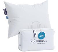 Lincove Cloud Natural - Almohada de plumón canadiense de lujo, color blanco, potencia de relleno 625, carcasa de algodón de 500 hilos, fabricada en Canadá, tamaño Queen, mediano, 1 paquete