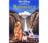 L'Incroyable Voyage [Import belge]