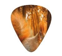 Linda ardilla comiendo nueces,12 púas de guitarra, 3 grosores diferentes para guitarra acústica, bajo y ukelele