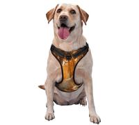 Linda Ardilla Comiendo nueces,Arnés para Mascotas, arnés Reflectante Ajustable para Perros,M