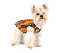 Linda Ardilla Comiendo nueces,Camiseta de algodón sin Mangas para Mascotas, Chaleco Transpirable, Suave y elástico para Cachorros,S