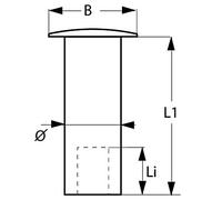 LINDEMANN Nuevo 2024 - Remache 15.0 x 4.6-100 Unidades