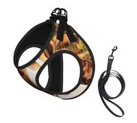 Lindo arnés de verano con estampado Beagle para perro, con correa, ajustable y reflectante, arnés de chaleco para mascotas