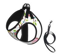 Lindo arnés de verano para perro con estampado de búho, flores y ardillas, con correa, ajustable y reflectante, arnés de chaleco para mascotas