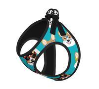Lindo arnés de verano para perro con estampado de gafas y bigotes de Corgi, con correa, ajustable y reflectante, arnés de chaleco para mascotas