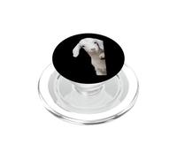 Lindo bebé Cabra Mirando Curioso Animal de Granja PopSockets PopGrip para MagSafe