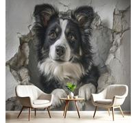 Lindo Border Collie Flores sobre Fondo de negro, Papel Pintado Fotográfico - 200 x 140 cm, Seda Premium Mural Decorativo Animales 3D para Dormitorio o Salón