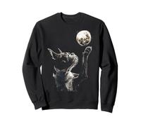 Lindo Boston Terrier con Luna Llena Luz de Luna Bostie Dog Art Sudadera