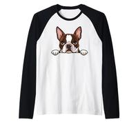 Lindo Boston Terrier Peeking Puppy Funny Bostie Dog Lover Camiseta Manga Raglan
