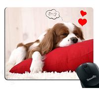 Lindo Cachorro Durmiendo sobre Una Almohada Soñando con Un Hueso Diseños De Personalidad Alfombrillas De Mouse Antipolvere Alfombrilla para Ratón Antideslizante Alfombrilla De Ratón para 25X30Cm