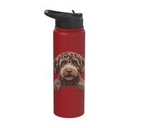Lindo cachorro labradoodle con forma de garabato que se asoma Stainless Steel Insulated Water Bottle
